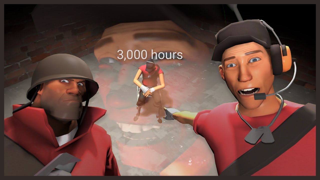 Team Fortress Insanity