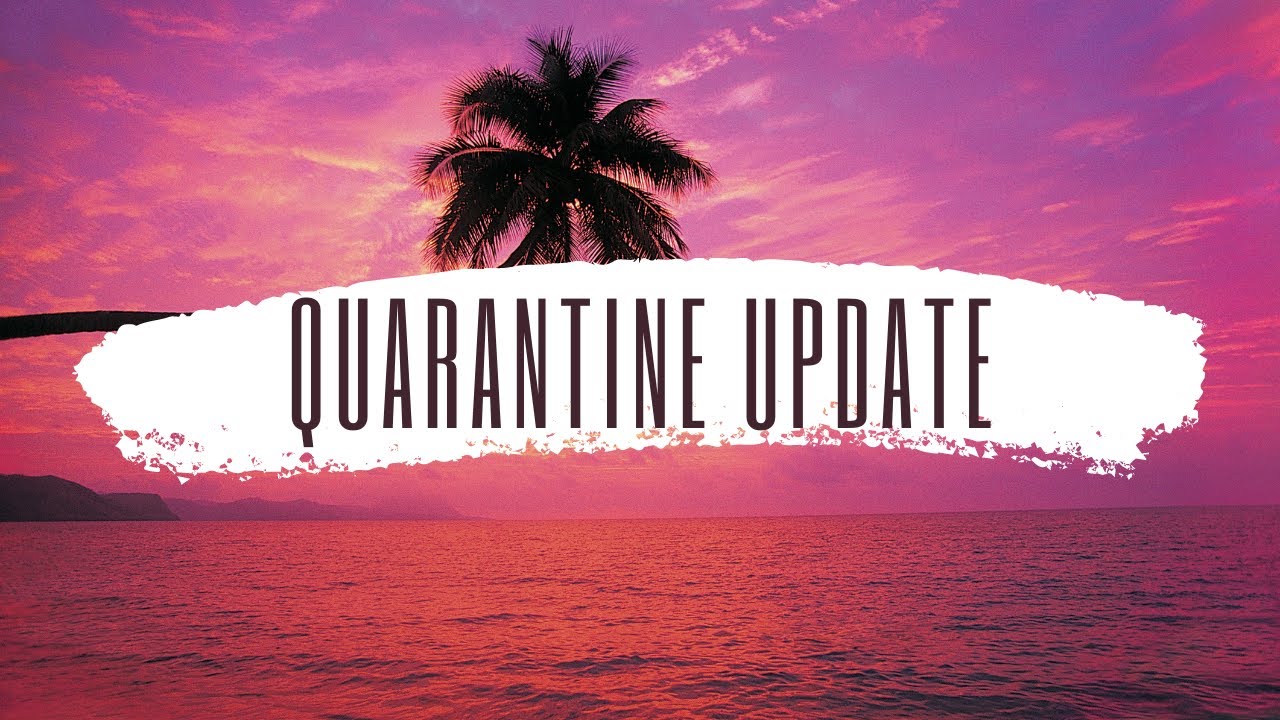 Quarantine update from the Nikau crew