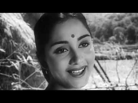 mila hai kisi ka jhumka hare hare nim tale_Parakh1960_Sadhna_Lata_ Shailendra_Salil Chowdhury_a tri.