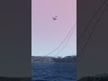 Russia Tu-95 use heavy missile VS waps. simulation #shorts #Tu-95
