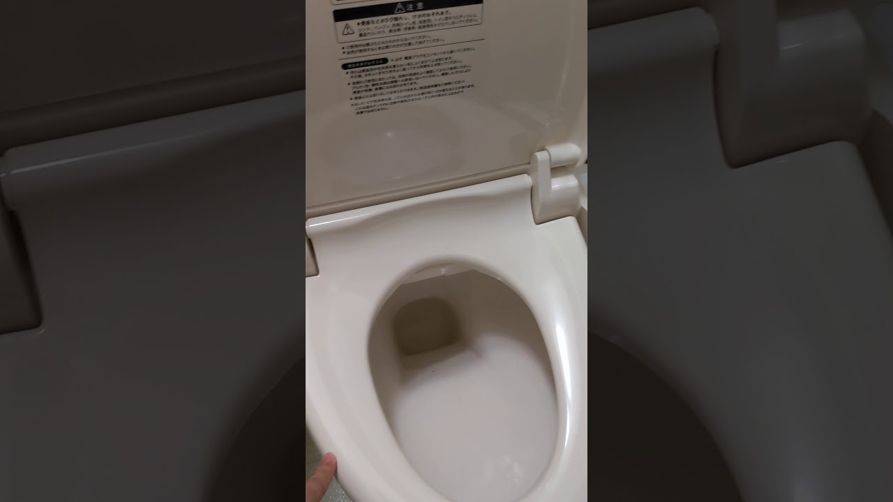 Butt Warming Japanese Toilet!!!! YouTube
