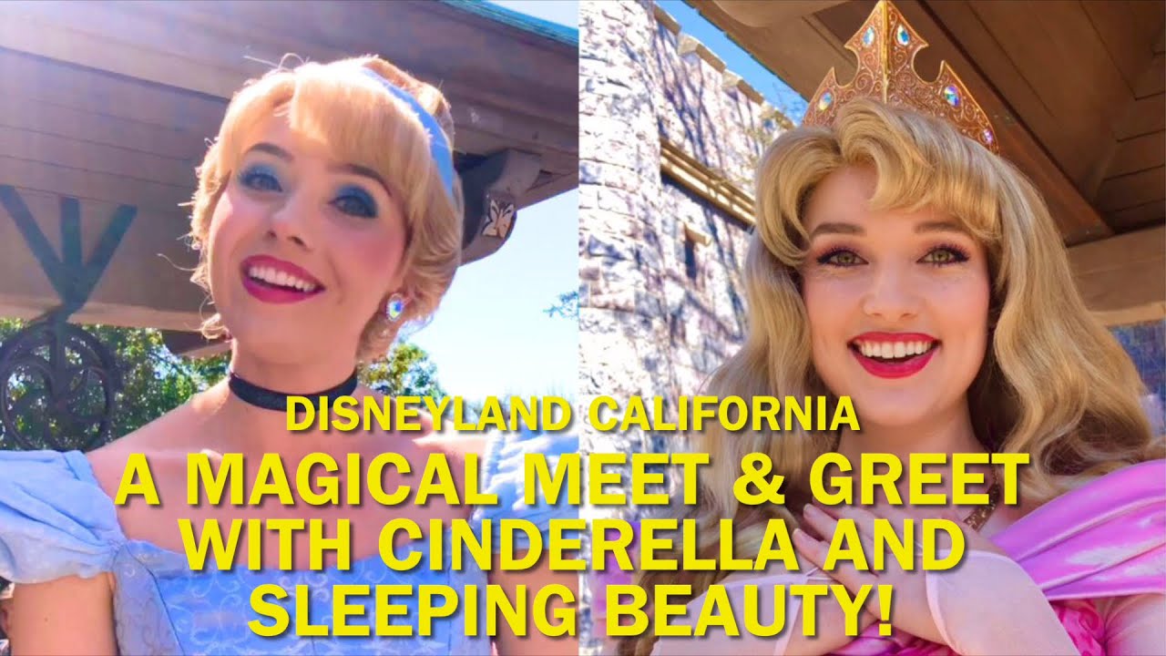 Cinderella and Sleeping Beauty: A Magical Meet and Greet! What Do They ...