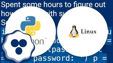 How to make python script to give sudo prompt my password