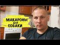 Макаронами кормишь собаку?