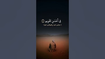 سورة التين احمد العجمي