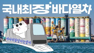 월미바다열차 - 국내에서 가장 긴 모노레일과 월미도맛집까지 월미도 당일치기 완벽코스