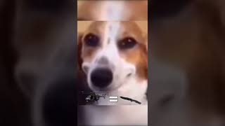 William Knifeman In Rebirth But With A Helicopter