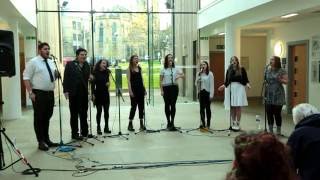 Settle Down (Kimbra) - A Capella Cover