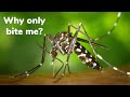 Why mosquitoes bite some people but not others? | Stop doing these and mosquitoes won&#39;t bite you