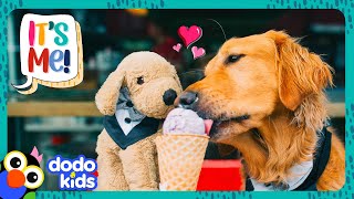 Let's Help This Pup Find His Favorite Toy | Dodo Kids | It’s Me!