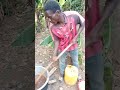 in Uganda 🇺🇬🇺🇬🇺🇬🇺🇬