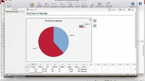 Tools For Graphing in Minitab Express - Pie Charts