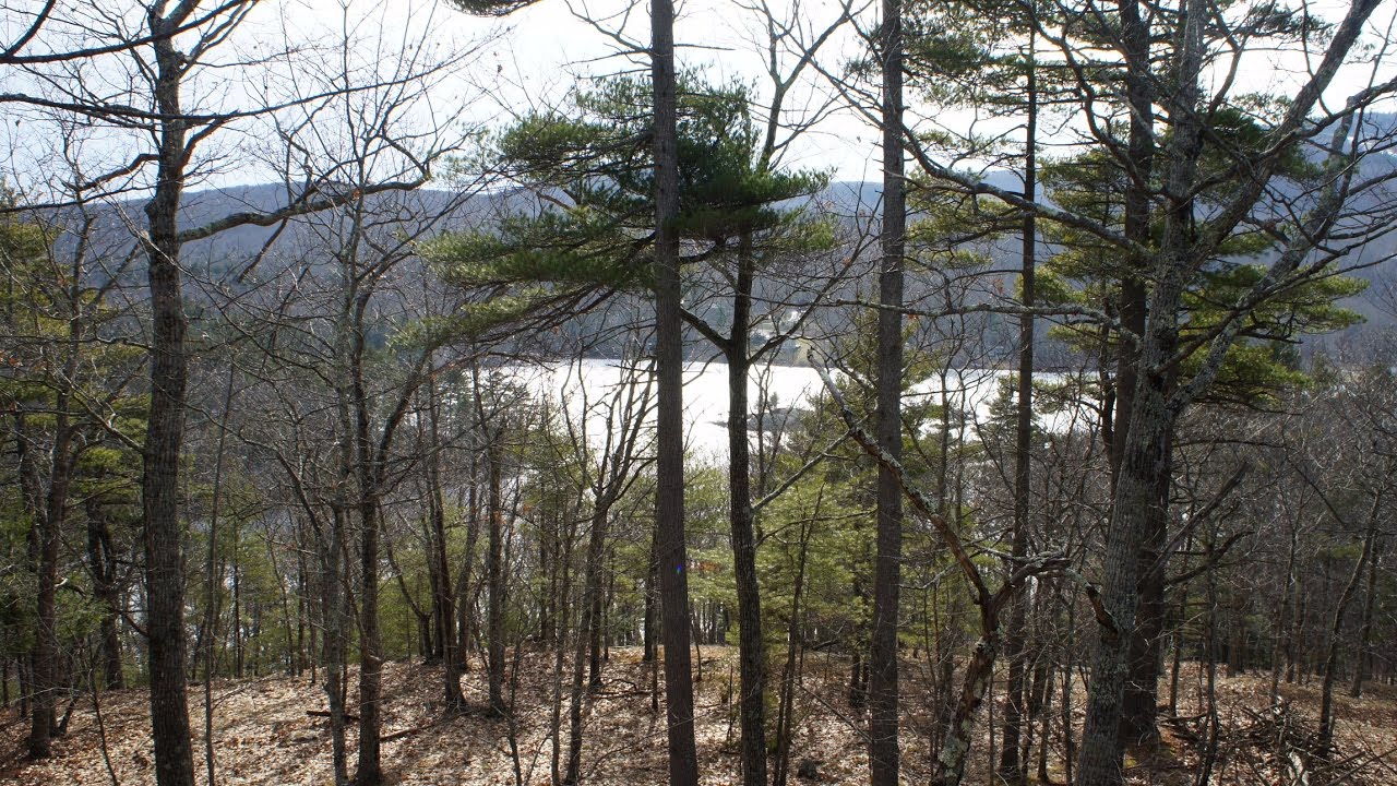 Maine Real Estate Hosmer Pond Rd, Camden YouTube