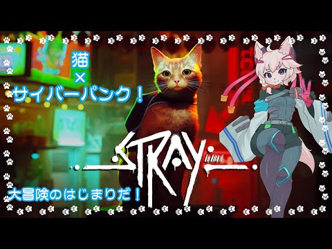 【STRAY】サイバーパンク×猫の大冒険！飼い主探しつつ街を堪能しちゃいます！【完全初見/コメント大歓迎！】