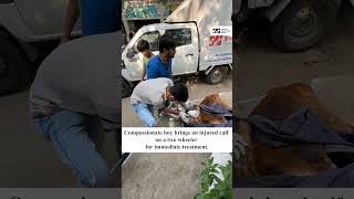 Youth Power | Act of Kindness | Saving Cows in Gujarat | Jivdaya | Animal Welfare | NGO | Ahmedabad
