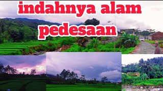 keindahan alam pedesaan (INDONESIA 2022)