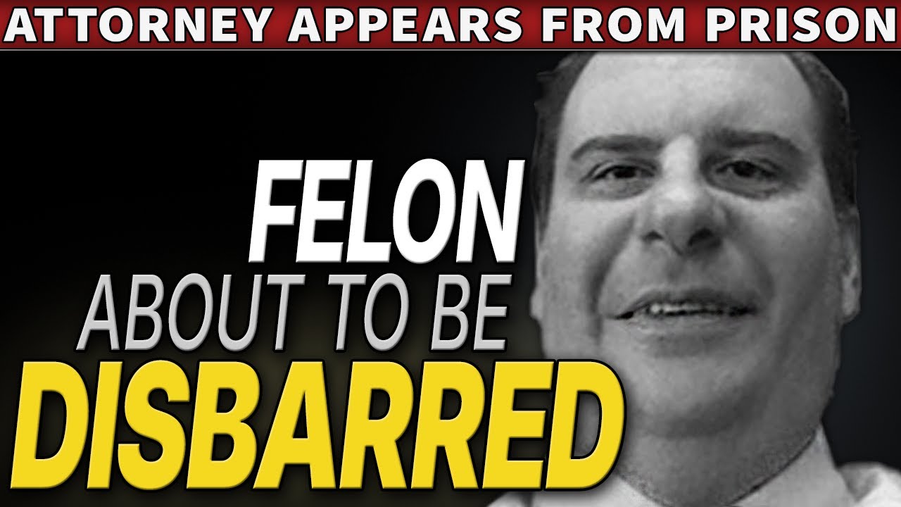 Sitting Judge Testifies As Lawyer Rage Quits