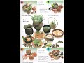 #縄文時代 #食事 #グルメ #美味しい #バランス
