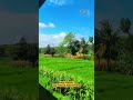pemandangan didalam lokomotif CC 205