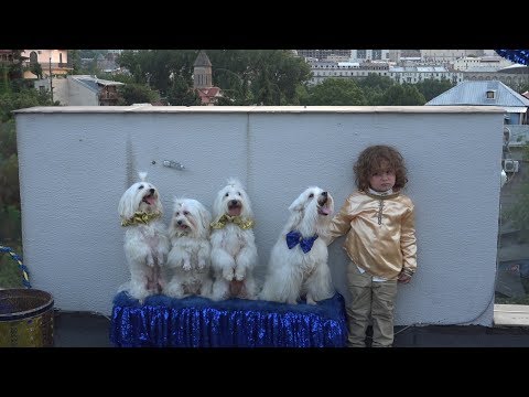 გაბრიელის დაბადების დღე