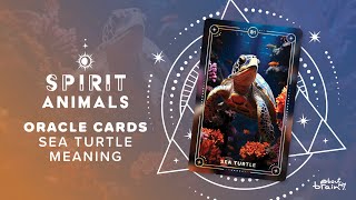 Celebrity The Hidden Wisdom of Sea Turtle Spirit Animal Net Worth