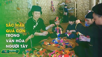 Sắc màu quả còn trong văn hóa người Tày | Thái Nguyên TV