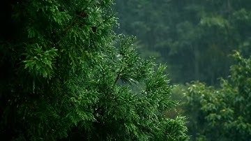 سورة المؤمنون - ياسر الدوسري - (كاملة)-  قُل لِّمَنِ ٱلۡأَرۡضُ وَمَن فِيهَآ إِن كُنتُمۡ تَعۡلَمُونَ