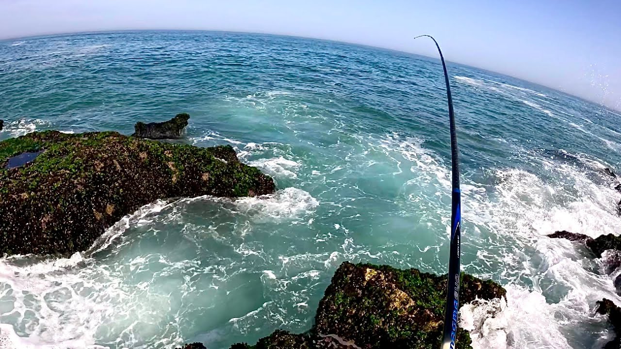الطريقة الأنجح للصيد بالبيلوطة (العجينة) لإخراج السمك من الجحور 👌🏽🎣