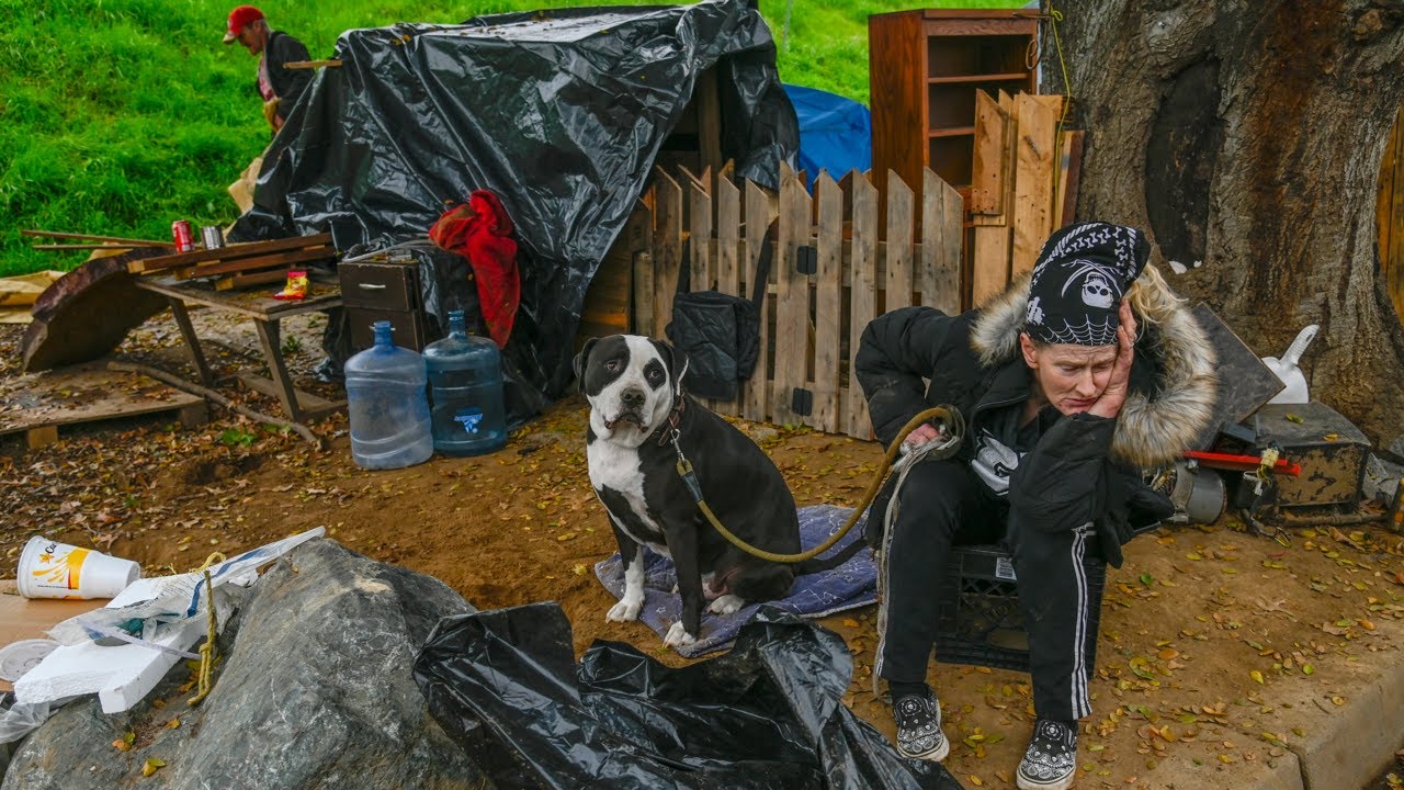 'We're Just Trying To Survive.' City Continues To Tag Vehicles Owned By Homeless