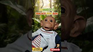 CONHEÇA O MACACO BON BON! 🐒✨ (O começo de uma grande aventura) #babymonkey #bonbon #monkey #shorts