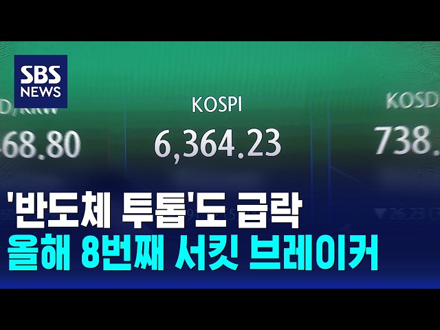 '반도체 투톱'도 급락..올해 8번째 서킷 브레이커 / SBS 12시뉴스