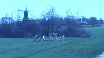 Paganiproductions@ Op Safari in de Laak 16 1 2023