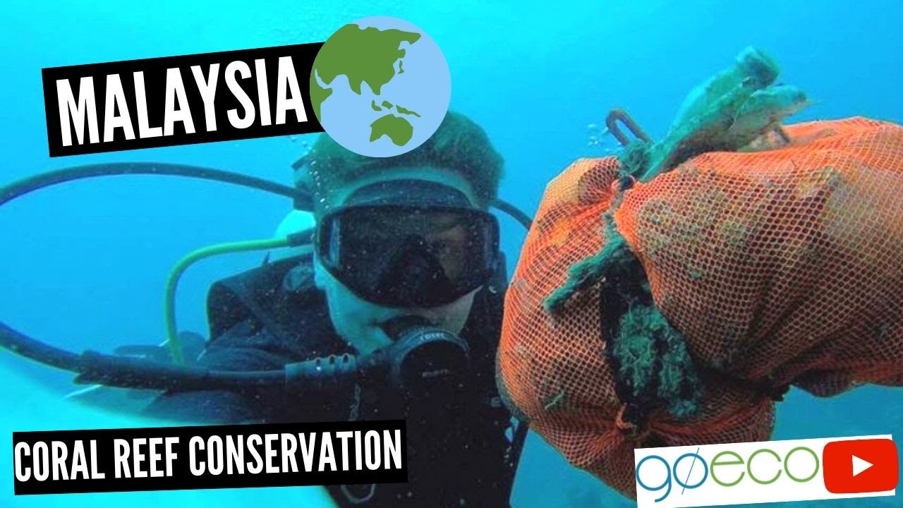 GoEco VOLUNTEER Trip Vlog Perhentian Island Coral Reef Marine