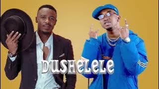 Alikiba ft Yuzo ft Jay melody Dushelele type beat X chakacha beat X Congolese instrumental X Lingala
