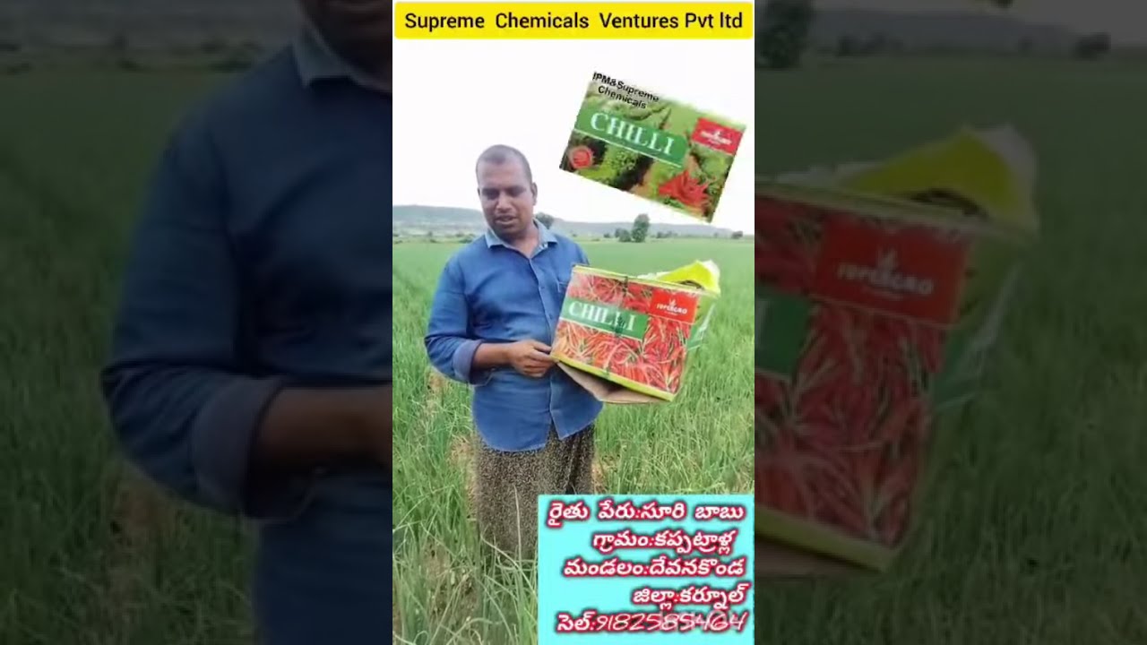 Onion పంటలో Supergro వారి Bio inoculants, Bio-Stimulants & Micro Nutrients తో అధిక దిగుబడి 
