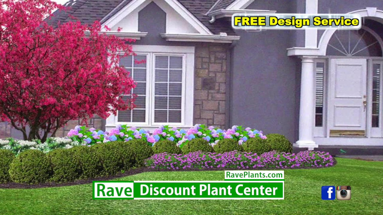 Rave Discount Plant Center