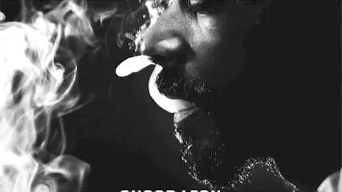 Snoop Lion - Tired of Running feat. Akon (Reincarnated)