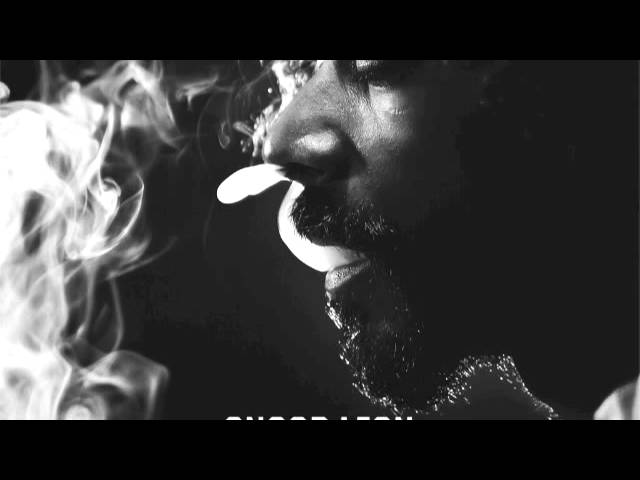 Obejrzyj Snoop Lion - Tired of Running feat. Akon (Reincarnated) w YouTube