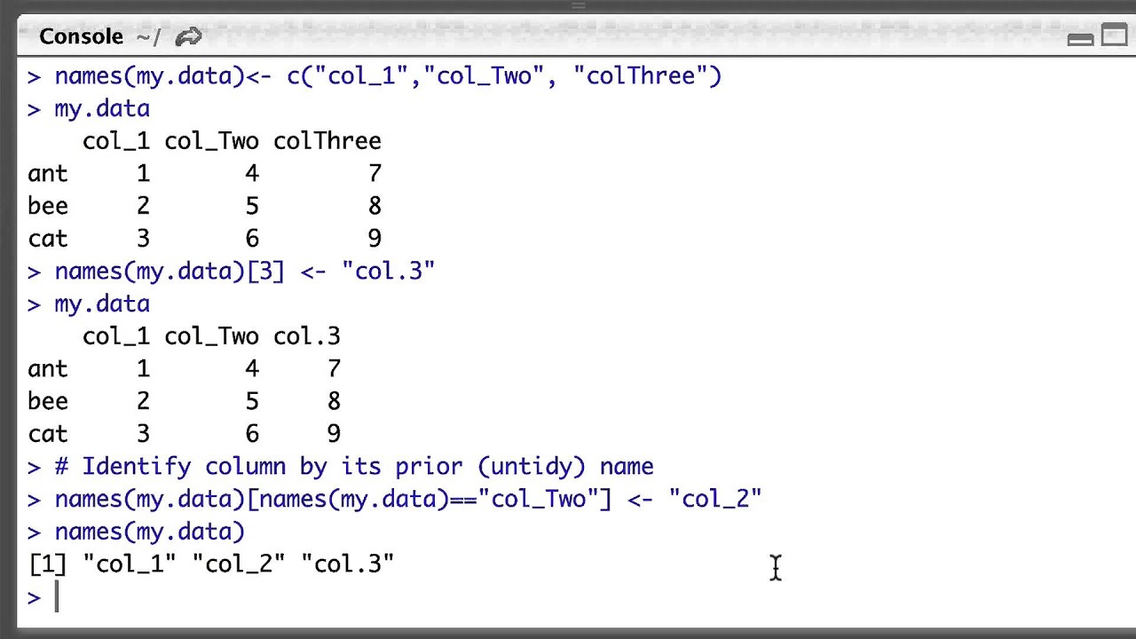 Naming And Renaming Columns In R Dataframes YouTube