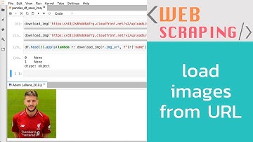 สอนการ download รูปภาพจาก url ที่เก็บใน pandas DataFrame