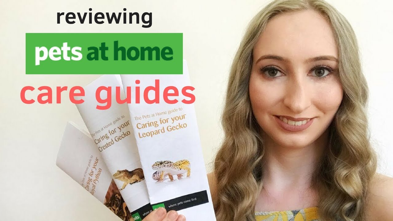 reptile care database REACTING TO PETS AT HOME CARE GUIDES!