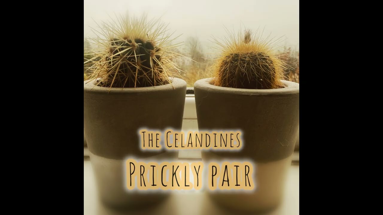 Tonton The Celandines: Prickly Pair di YouTube Tonton The Celandines: Prickly Pair di YouTube