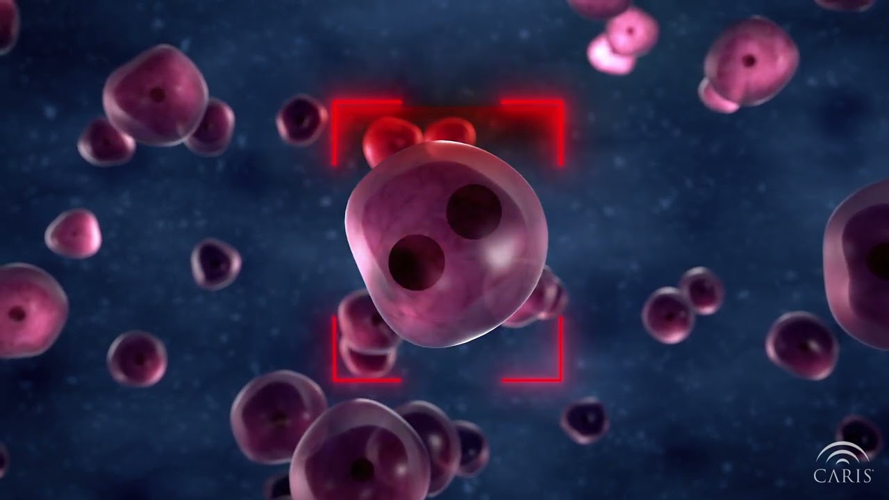 Aneuploidy  | Central Principles of Molecular Biology