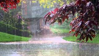 Kannada Film Song--Ullasada Hoo Male--By S R Baht