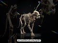 What If Lions Had No Bones? 🦁💀 #Shorts