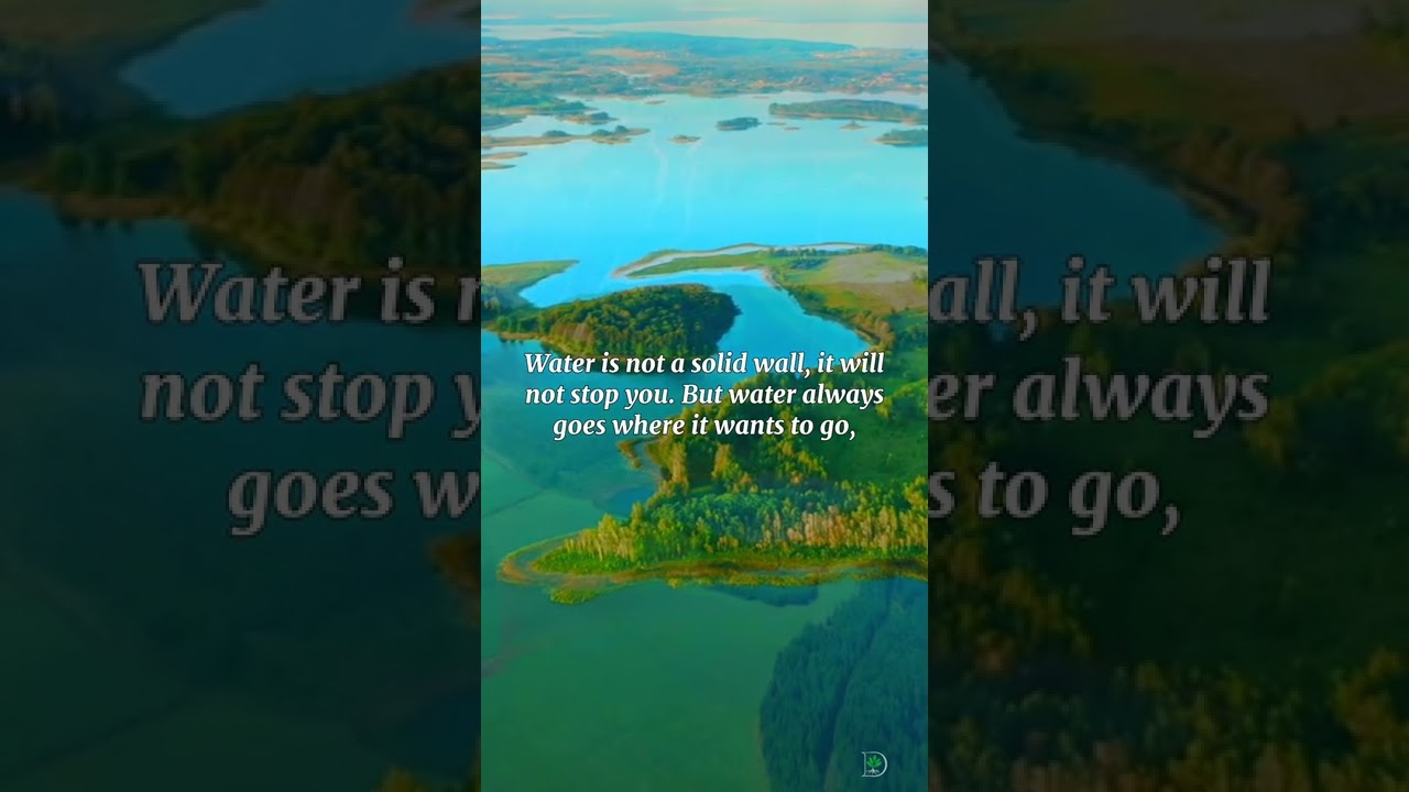 Water Does Not Resist, It Flows...