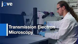 Preparation Of Graphene-Supported Microwell Liquid Cells For In Situ TEM l Protocol Preview