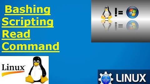 Bash scripting read command