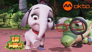 Why Elephants Have Flat Feet? Lil Wild Trivia S2E19