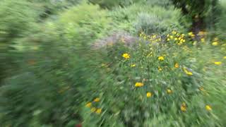 Gobblers Knob - West Savana Tour